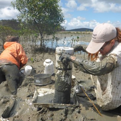 Sampling invertebrates within deep mudflats in Gladstone, Australia. (Credit: Chi-Yeung Choi)